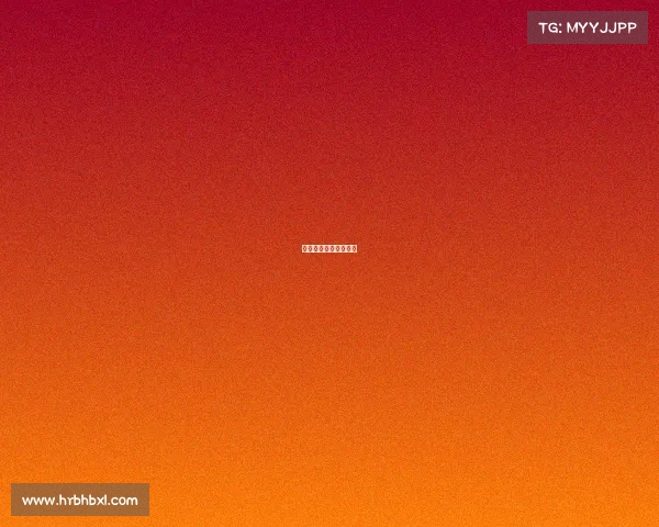 格斗赛事的精神是什么